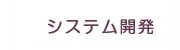 システム開発