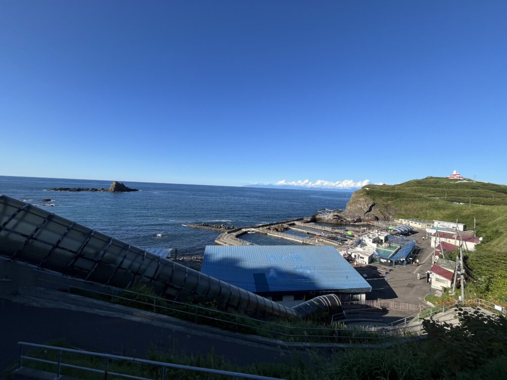 海
